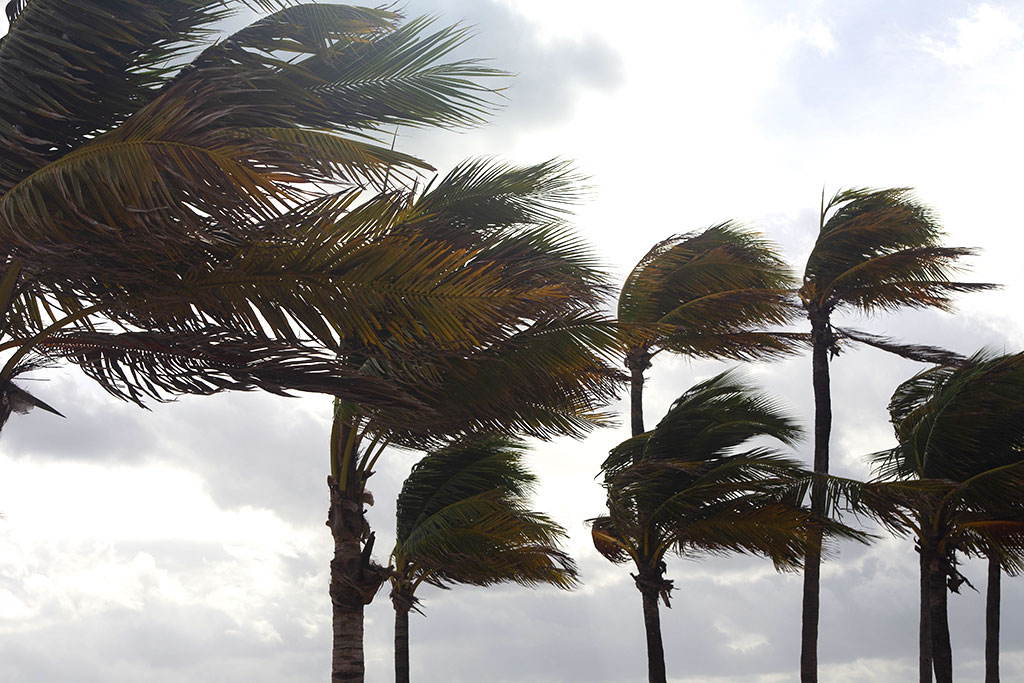 how to prepare your florida garage for a storm